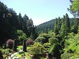 16 - Butchard Gardens  - IMGA0256
